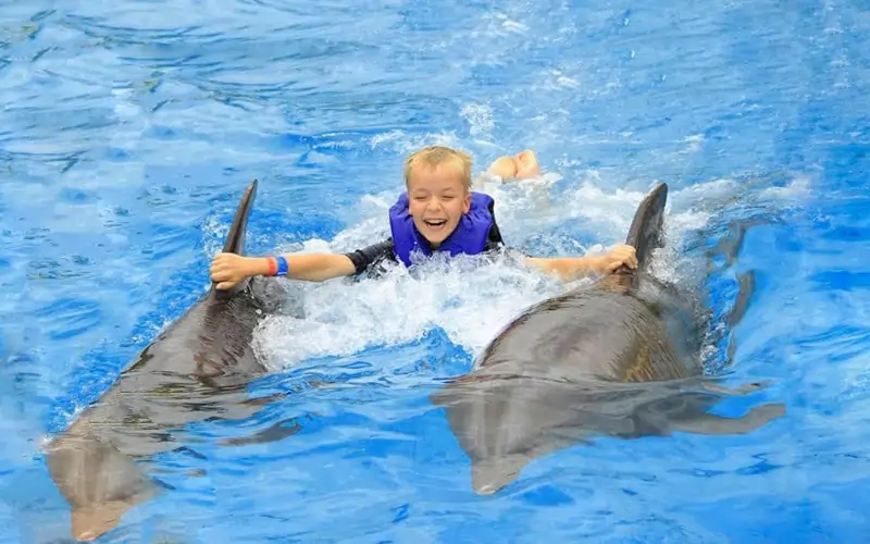 kids are delighted when swimming with the dolphines