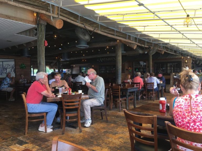 IMG 5387 1024x768 1 768x576