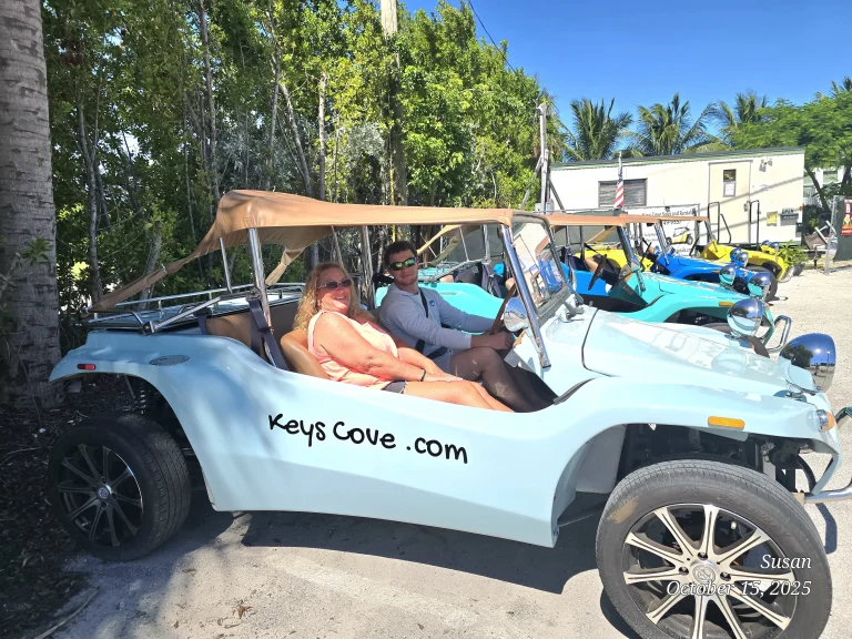 Buggy 20251015 131534 768x576