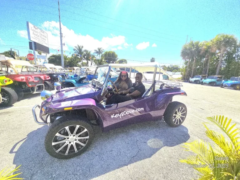 purple buggy 20251012 141048 6972866b110c7 697286c8097ea 768x576