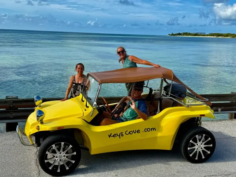 yellow buggy IMG 20251008 130200 768x576