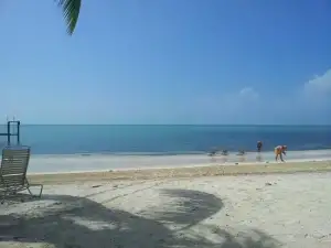 Coco Plum Beach 