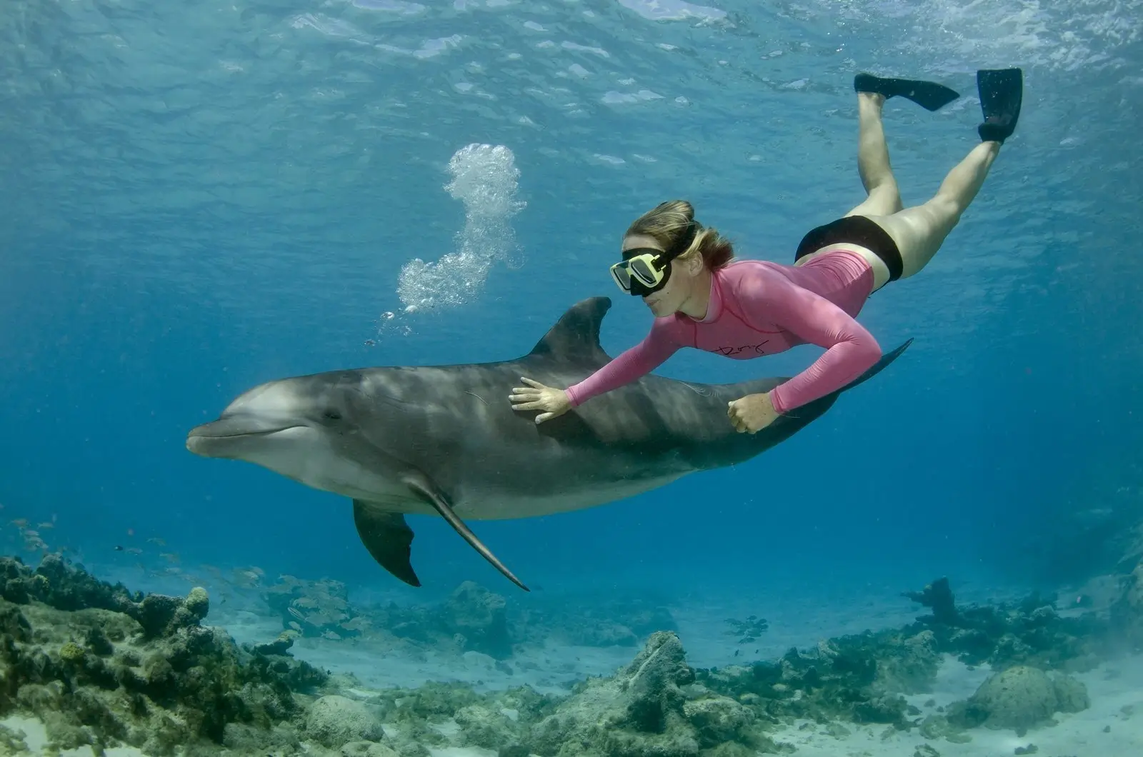 teen snorkeling with a dolphin