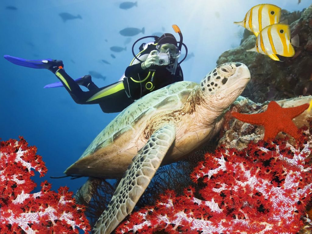 Scuba diving in Marathon Fl