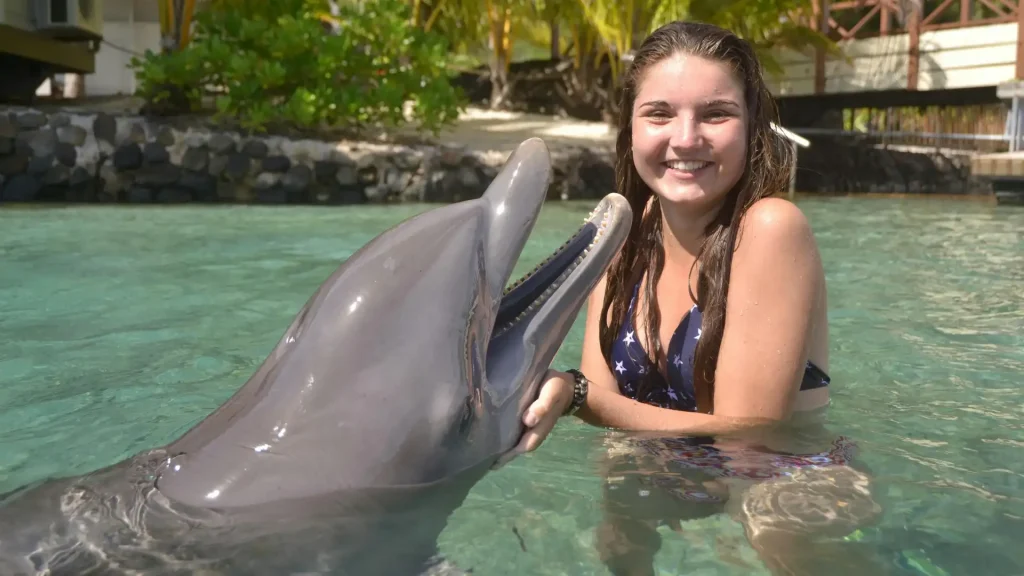 Island Hopping with dolphins