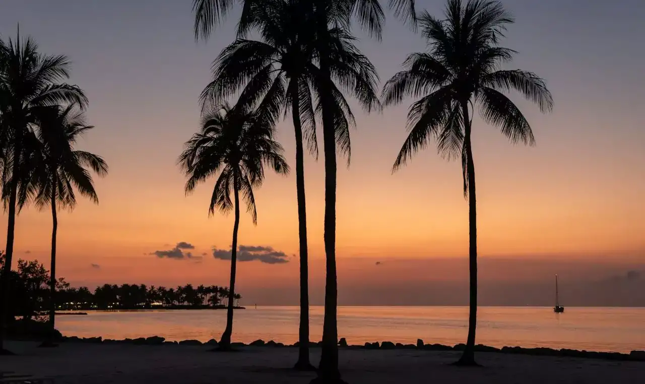 Palm trees swaying in Marathon Flroida