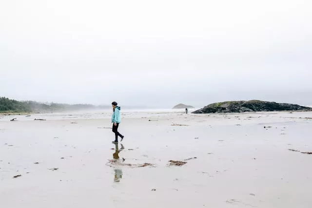 person walking alone on a wet, reflective beach