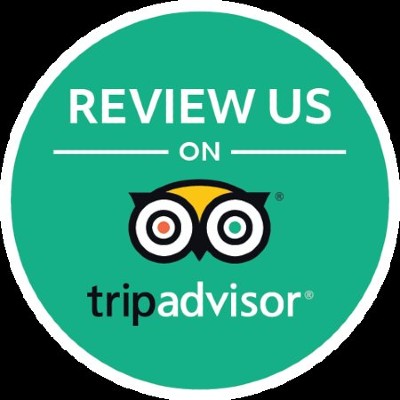 Tripadvisor icon