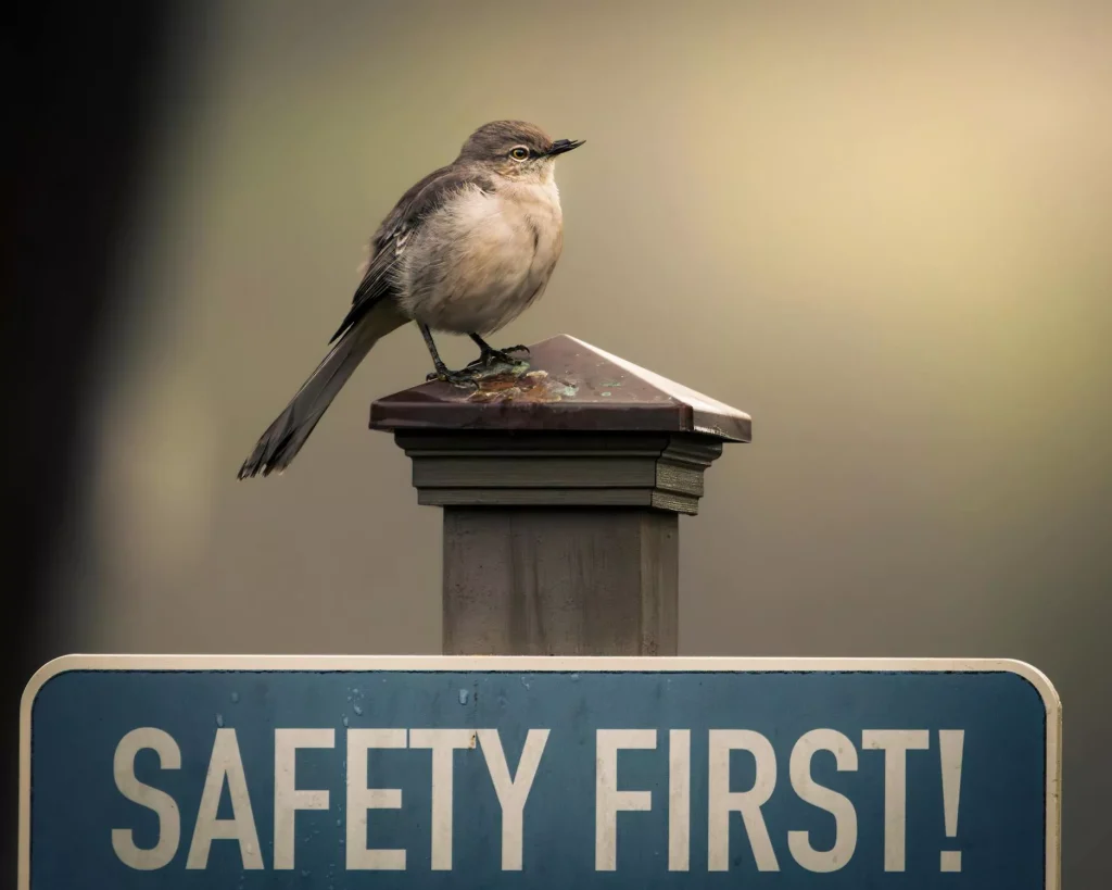 Bird sitting on a sign