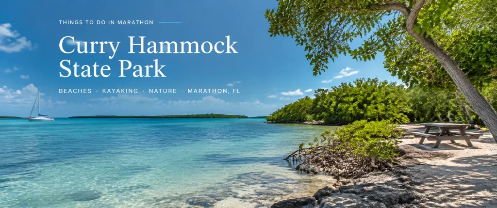 Scenic view of Curry Hammock State Park in Marathon, Florida with palm trees, turquoise water, a the sandy beach, and mangrove island under a golden sunset sky